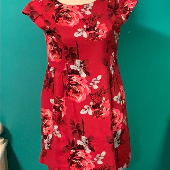 GAP Other - Gap kids Rose Dress 12